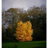 org:/landingpages/winnaars DK NO SE/11e-prize-scandinavie.jpg